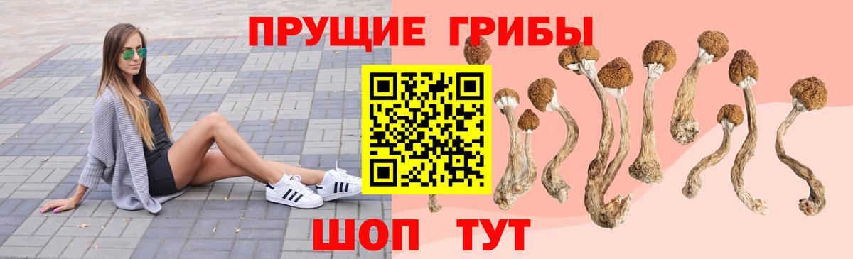 Галлюциногенные грибы GOLDEN TEACHER  Вход с VPN  Галлюциногенные грибы Magic Shrooms  Кировск 